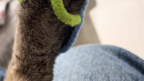 Crochet Cat Flip-Flops