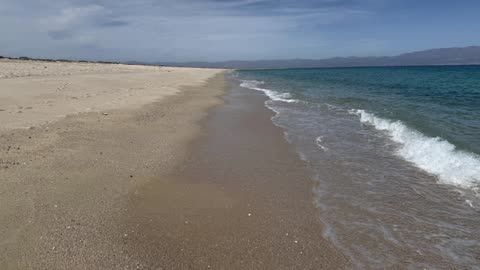 AI Alignment and Mechanistic Interpetability