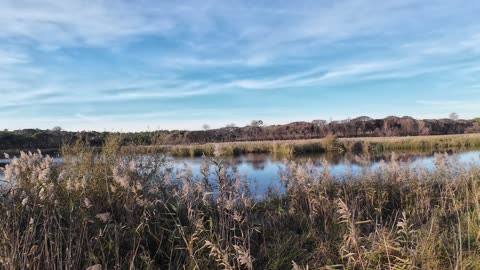 Trekking and Birdwatching in Lagoa 22th Nov 2025 pt 8