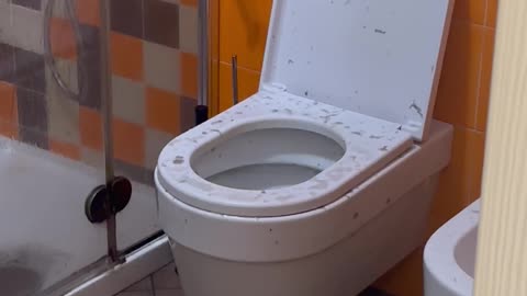 Toilet Pukes Dark Water