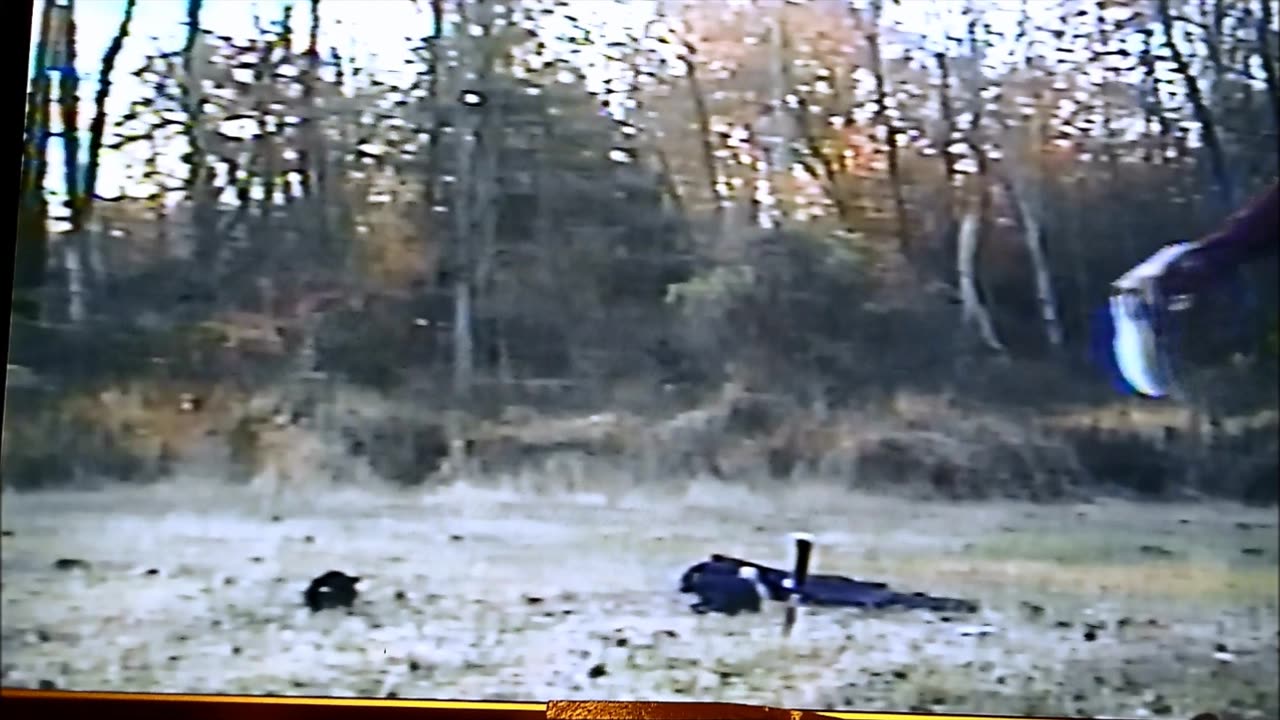 What Movies Do You Like?