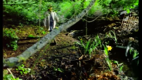 Nocturne - Secret Garden