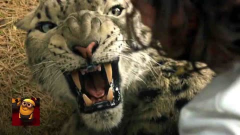 Kraven the Hunter (2024) - Kraven Wrestles A Leopard Scene