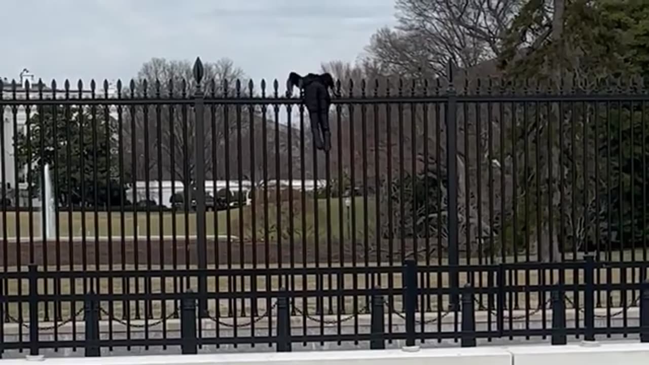 Secret Service swarm black-clad man who tried climbing over White House fence after saying, ‘F–k it’