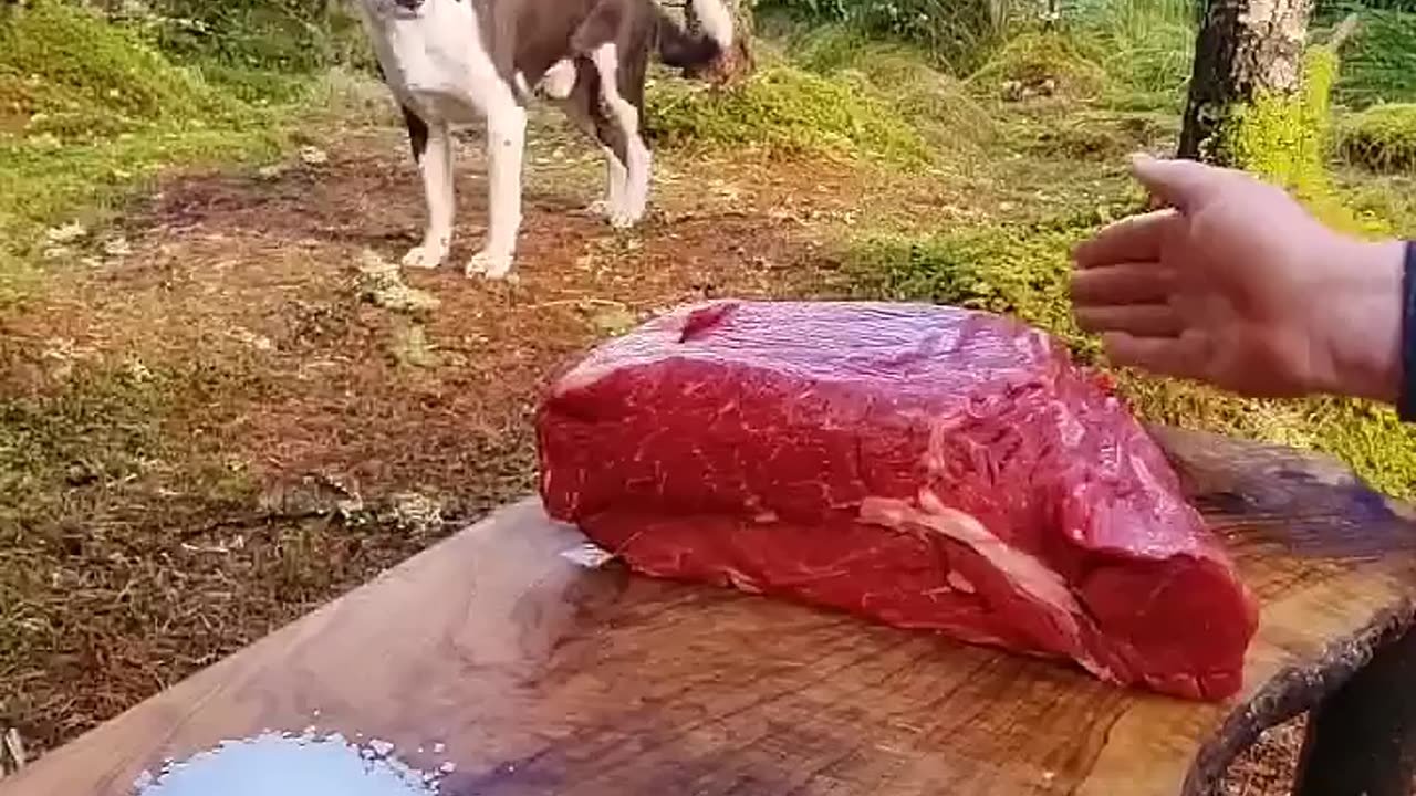 Slow Cooked Beef Shoulderš„ Asmr cooking