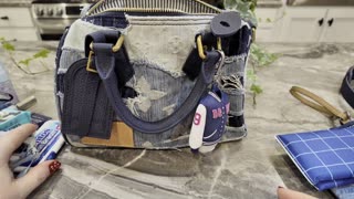 What’s in my Speedy 25 Bag & Cutest Puppy Ever!