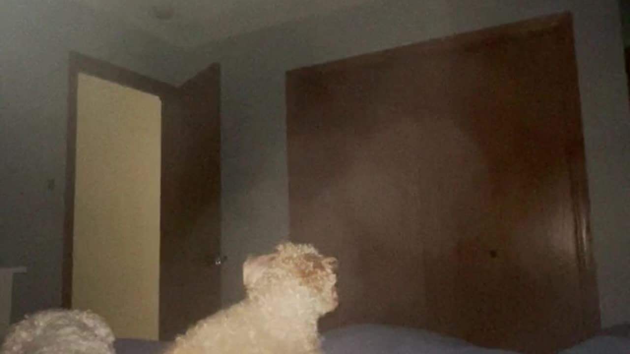 👻💨 Orb or Dust? The Truth Revealed! | TheHauntingHour