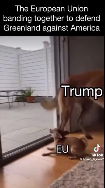 Trump vs EU