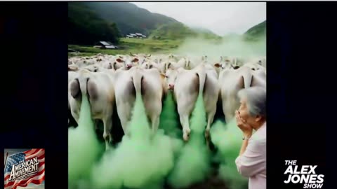 Fart Gate Doge uncovers 8 million in the study of cow farts