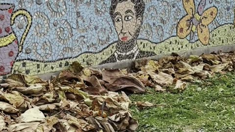 Carnegie, PA - Part 5/5