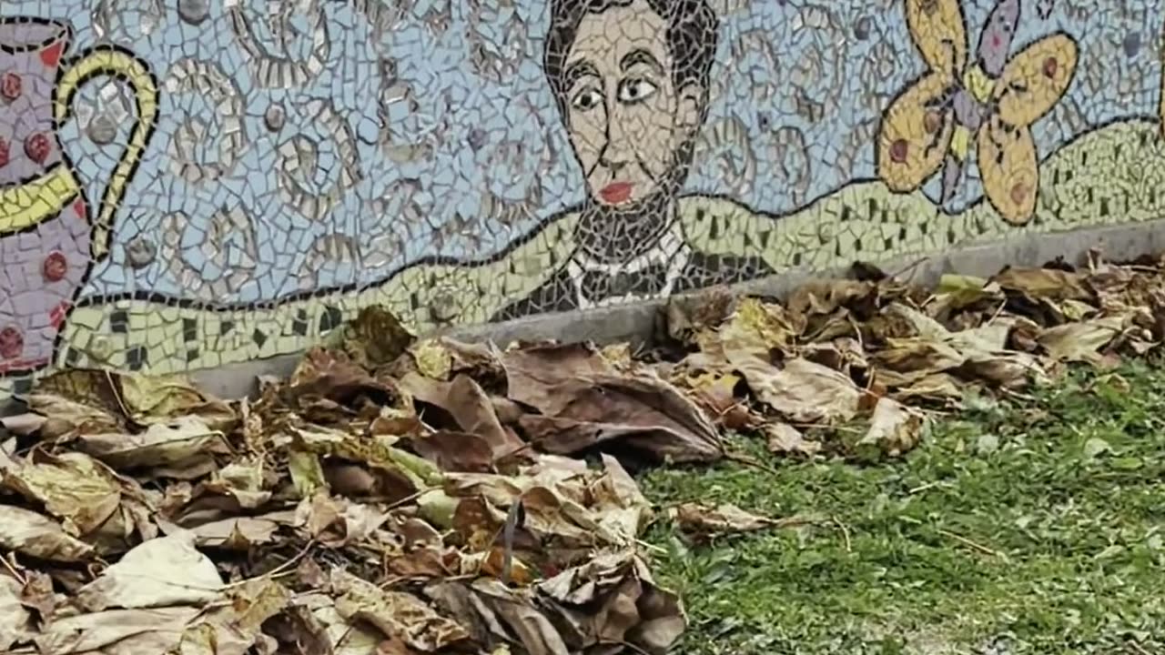 Carnegie, PA - Part 5/5