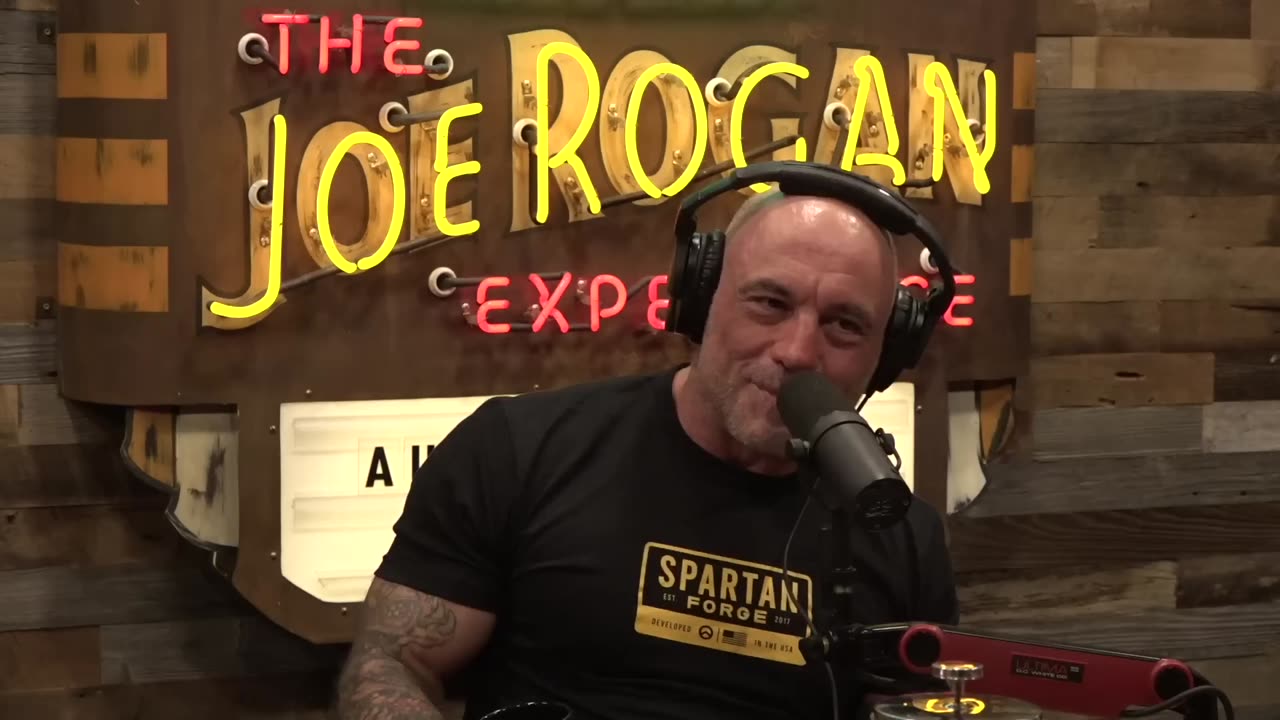 Joe Rogan Experience #2382 - Andrew Santino