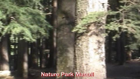 Manali Beyond the Main Sites | Exploring Local Life & Hidden Gems