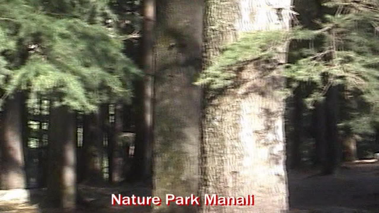 Manali Beyond the Main Sites | Exploring Local Life & Hidden Gems