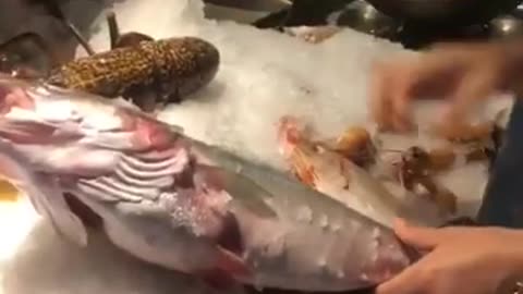 WHAT IS THE BEST FISH TO EAT RIGHT NOW?