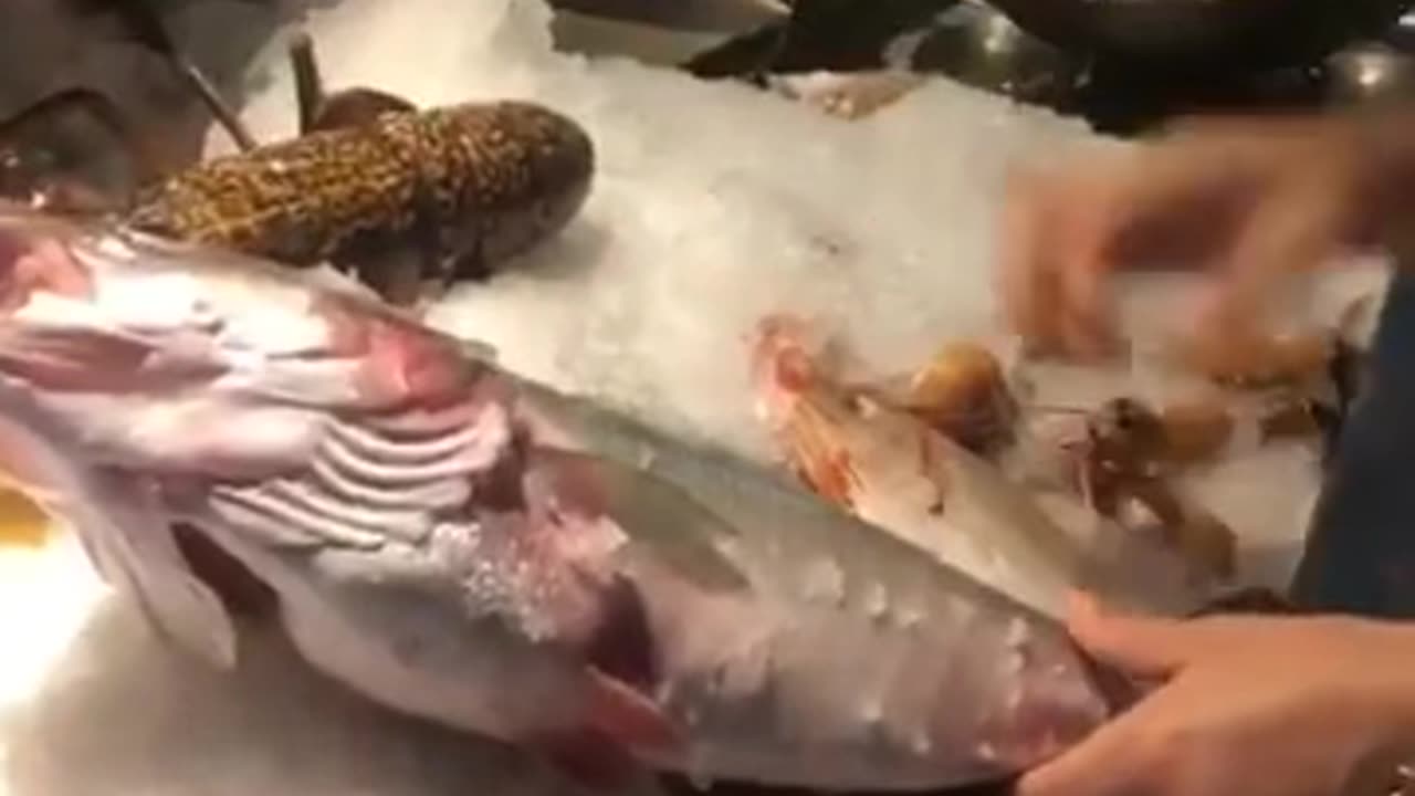 WHAT IS THE BEST FISH TO EAT RIGHT NOW?