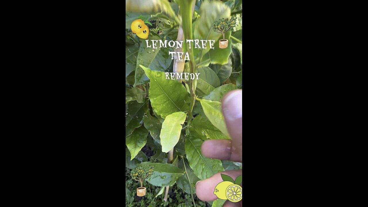 Homemade remedy lemon tea