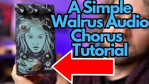 How to Use the Walrus Audio Julia V2