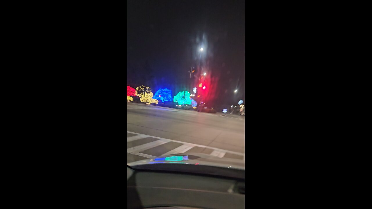 Christmas Lights Drive by, Village of Addison Illinois