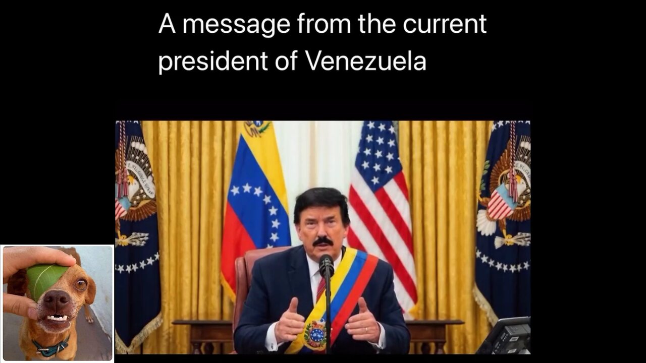 Funny videos compilation 31