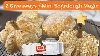 Mini Sourdough Shaped Loaves that Actually Work! + Bosch Mixer & Nutrimill Grain Mill Giveaway