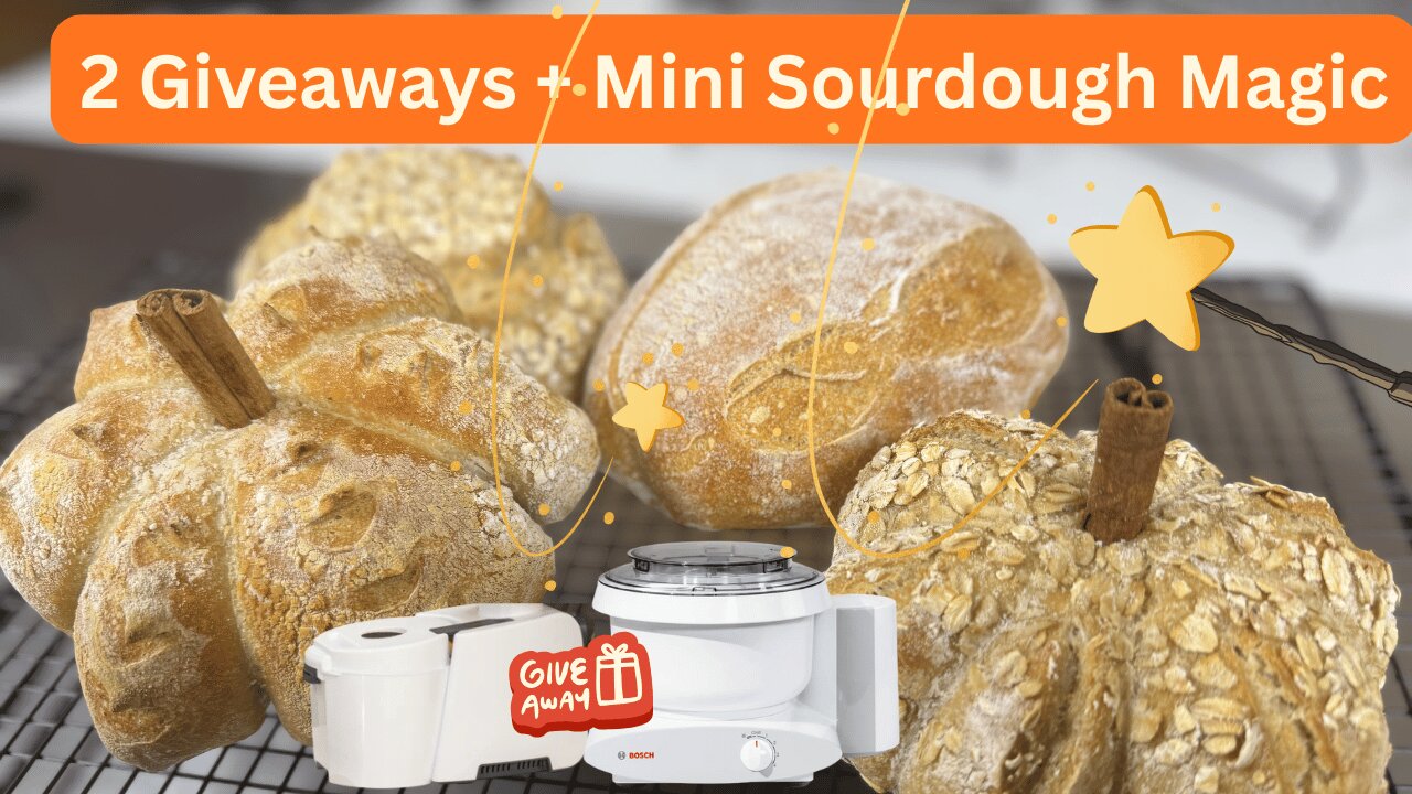 Mini Sourdough Shaped Loaves that Actually Work! + Bosch Mixer & Nutrimill Grain Mill Giveaway