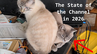 Nephestate of the Union, State of the Channel 2026