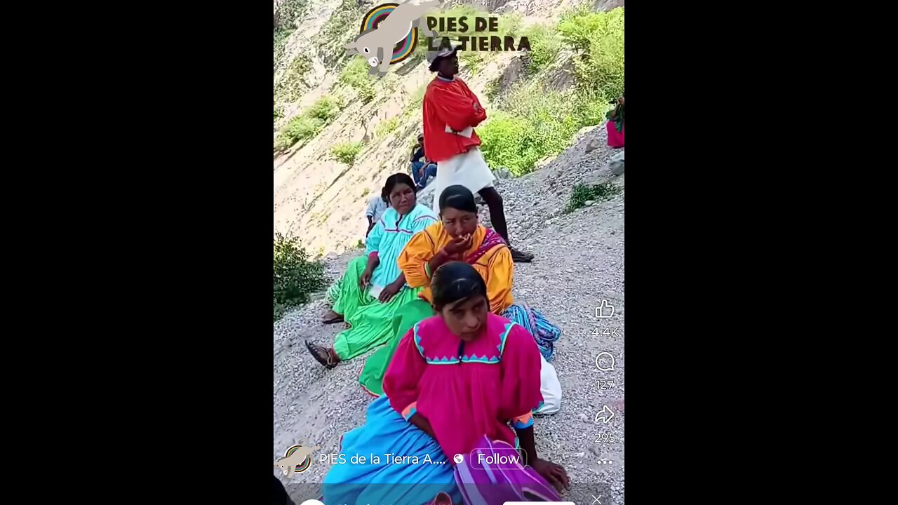 #blacks #natives #or #mexicans?