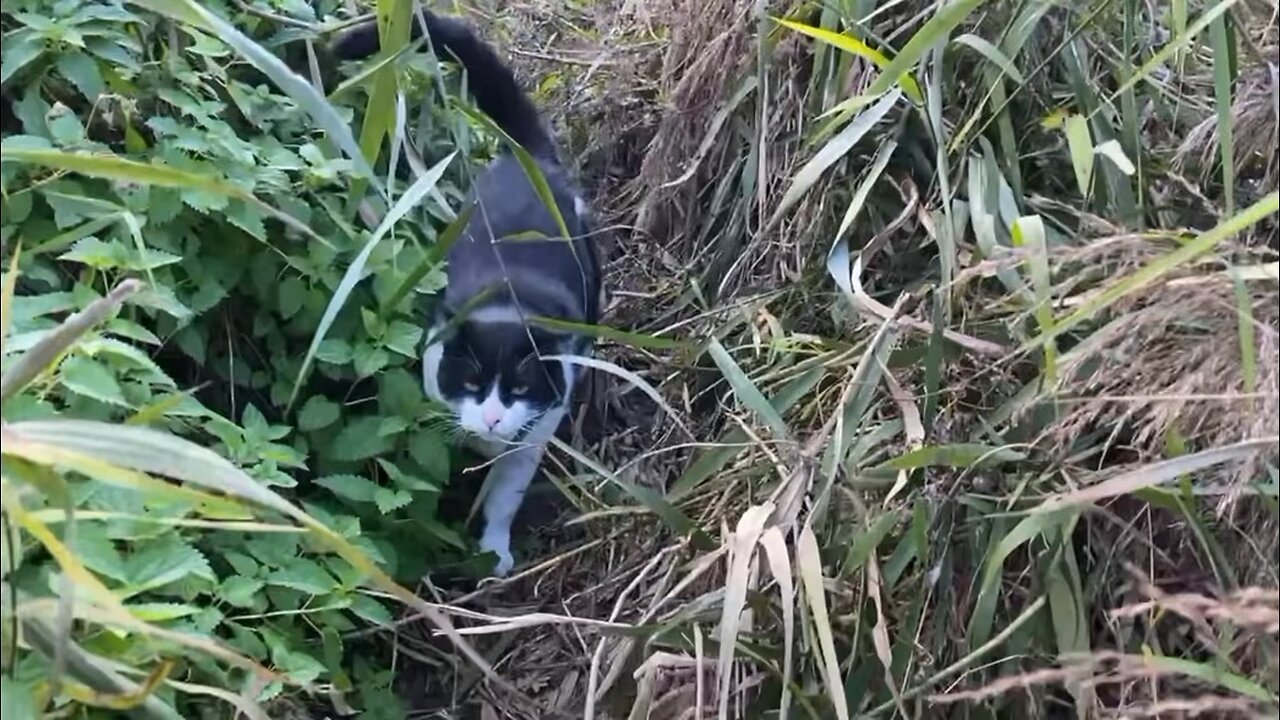 Don't just hit me with your feet.