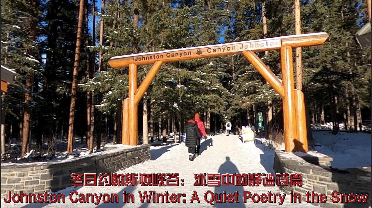 Johnston Canyon in Winter: A Quiet Poetry in the Snow
