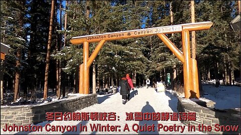 Johnston Canyon in Winter: A Quiet Poetry in the Snow