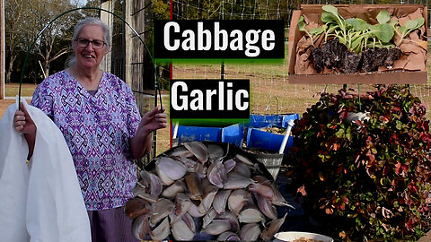 First Time Planting a Winter Garden, Container Gardening, Inspirational Thought