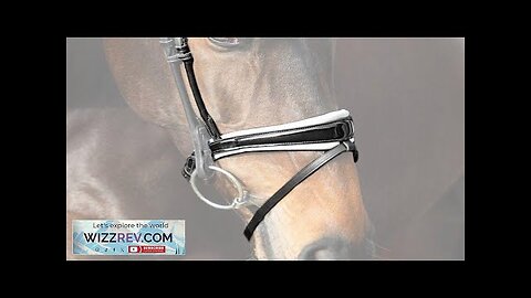 PS OF SWEDEN NOSEBAND GP BLACK / LACQUERED Review