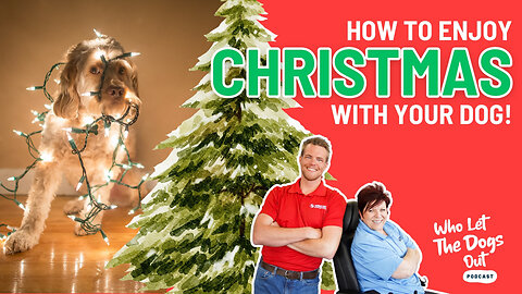 Making Christmas Merry (Not Stressful) With Your Dog 🐶 — Dog Talk Ep. 087