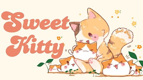 Sweet Kitty Lofi 🍭1 Hr Song💐 lofi chill 【Cute lofi music mix💖 study aesthetic chill relax🍦