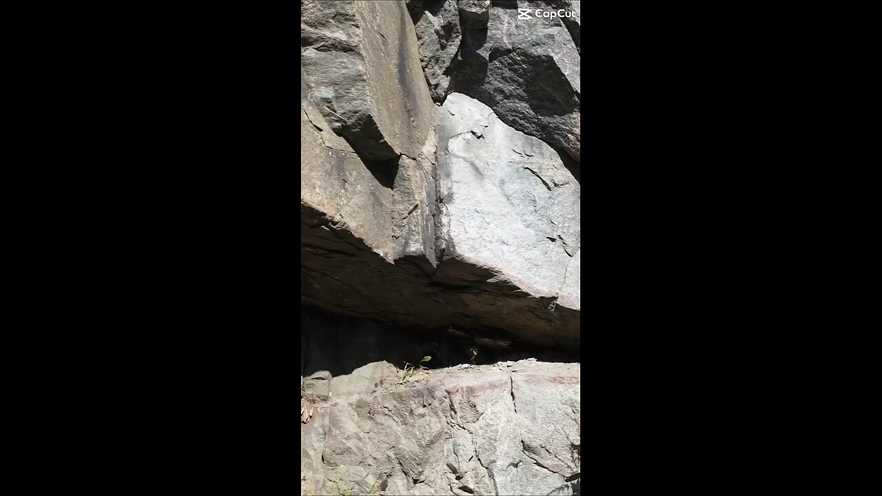 Look around