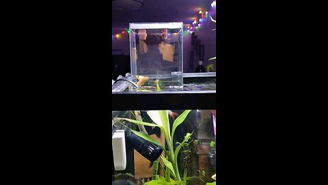 Why don't you want to try, start from small things?