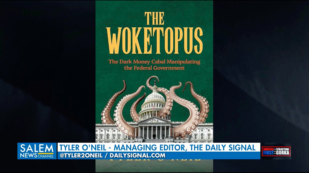 Can we stop Democrat dark money? Tyler O'Neil with Sebastian Gorka on AMERICA First