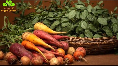 15 FORGOTTEN VEGETABLES THAT GROW LIKE WEEDS - THE LAZY GARDENER'S GOLD MINE ❤️