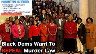 Black Democrats Protect Young Criminals