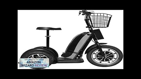 MotoTec Electric Trike 48v 800w Mobility Scooter Review