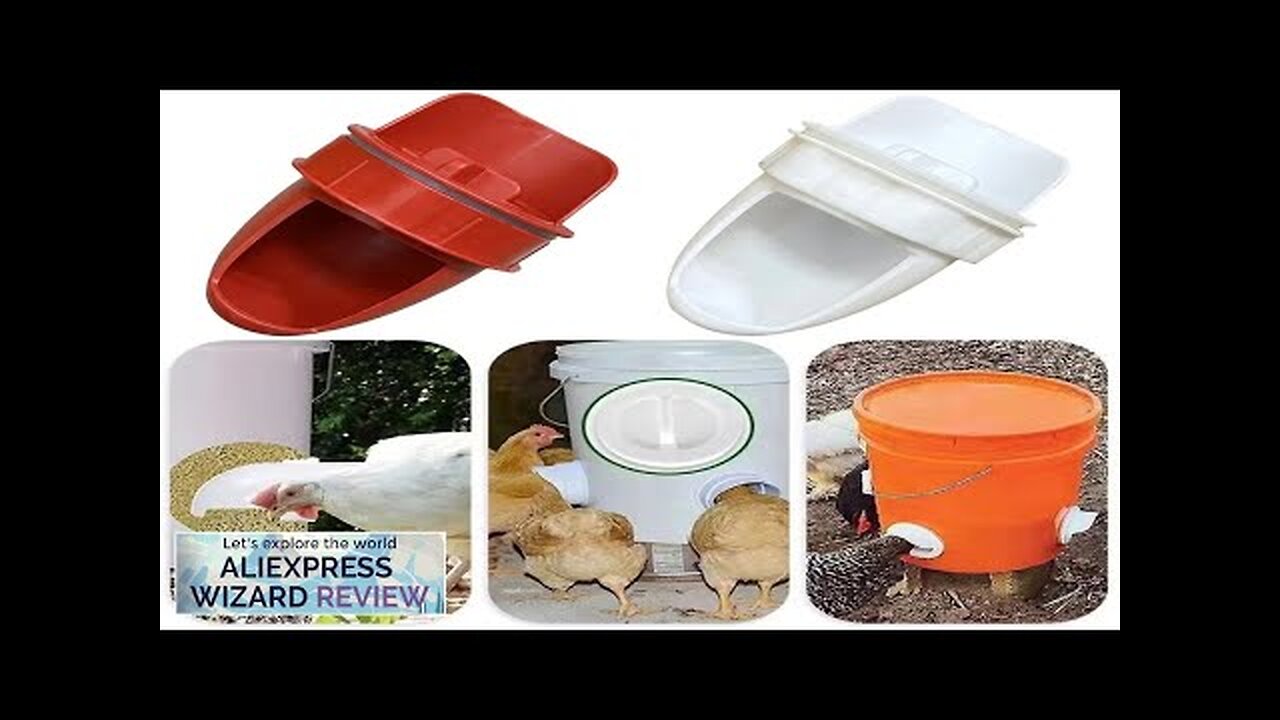 Chicken Feeder Poultry Feeding Supplies DIY Rain Proof Poultry Feeder Port Gravity Review