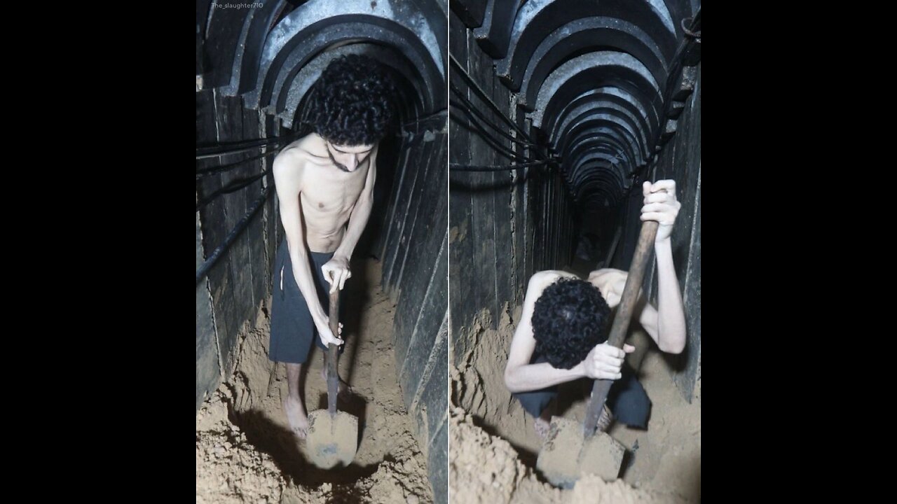 CNNs @amanpour : Hostages have probably been treated better than the average Gazan.