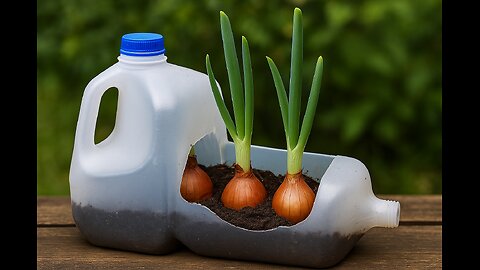 Grow Infinite Green Onions 🌱🧅 | Recycle, Regrow, Repeat | FlavorVille Food Science Tutorial