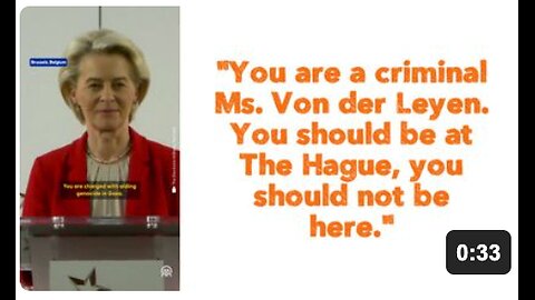 "You are a criminal Ms. Von der Leyen. You should be at The Hague, you should not be here."