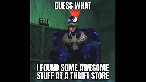 some thrift store finds