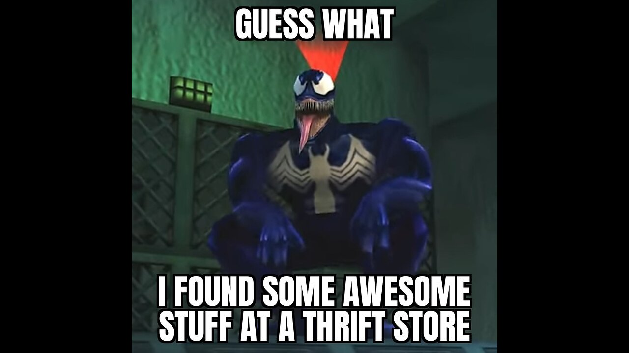 some thrift store finds