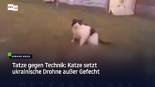 Tatze gegen Technik: Katze setzt ukrainische Drohne außer Gefecht