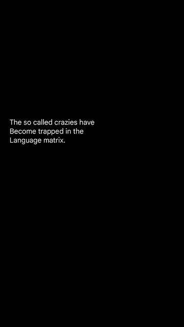 They stuck in the dictionary