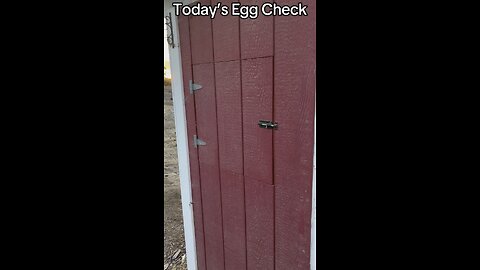 Today’s Egg Check!